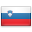 flag of Slovenia