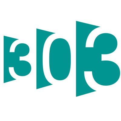 303 Software's logo