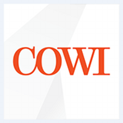 COWI's logo