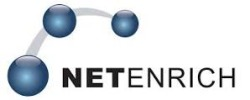 Netenrich, Inc's logo