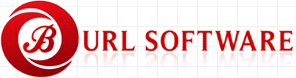 Burl Software's logo