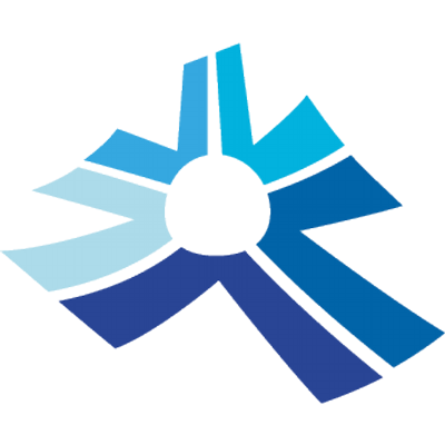 Ping srl's logo