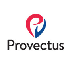 Provectus-IT's logo