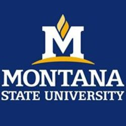 Montana State University's logo