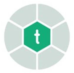 Turtlemint Insurance's logo