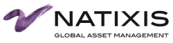 Natixis Investment Managers's logo