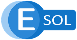 effective solutions's logo