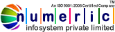 Numeric Infosystem's logo