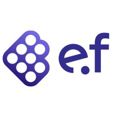 E-Fundamentals's logo