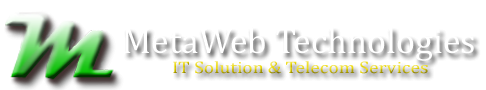 Metaweb Technologies Pvt. Ltd.'s logo