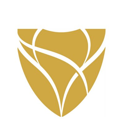 Virani Inc's logo