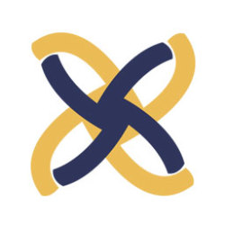 Xoken Labs's logo