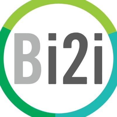 BRIDGEi2i's logo