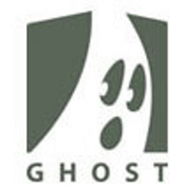 Ghost VFX's logo