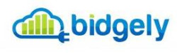 Bidgely's logo