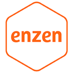 Enzen's logo