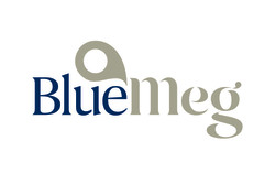 BlueMeg's logo