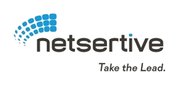 Netsertive, Inc's logo