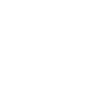 University of Iowa's logo