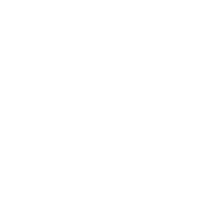 BHS Axter's logo