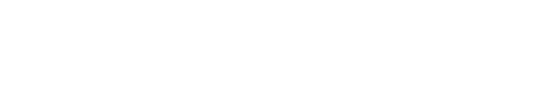 Aivo's logo