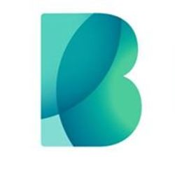 Bigbank's logo