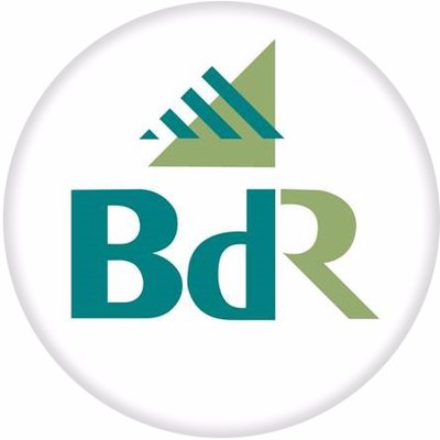BdR Ltd.'s logo