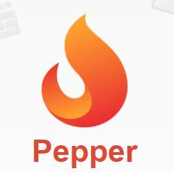 Pepper Networks's logo