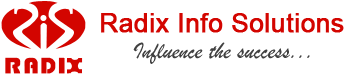 Radix Info Solutios (P) Ltd.'s logo