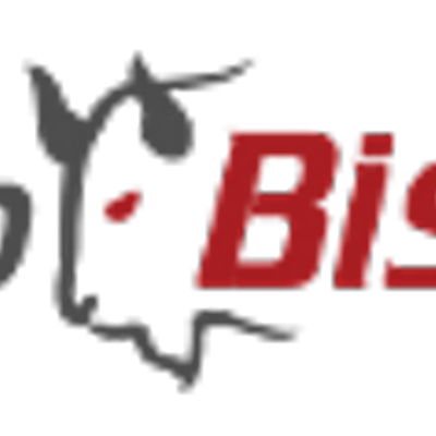 WebBison's logo