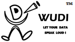 Wudi datatech's logo