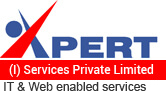 Xpert Solution's logo