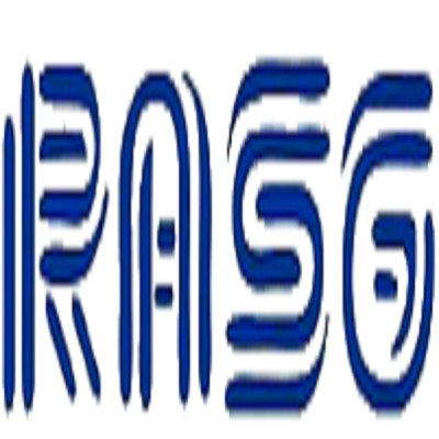 RASG Consulting  Pvt Limited's logo