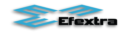 Efextra e Solutions Pvt. Ltd.'s logo