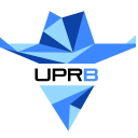 University of Puerto Rico at Bayamon's logo