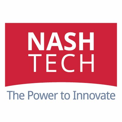 NashTech Global's logo