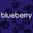 Blueberry Digital Labs's logo