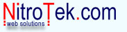 NitroTek Web Solutions's logo