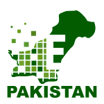 E-Pakistan's logo