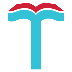 Themeefy's logo