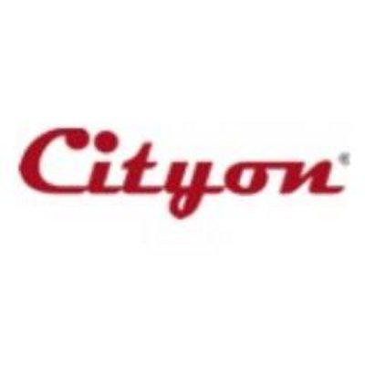 Cityon Systems Inc's logo