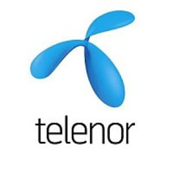 Telenor DK's logo