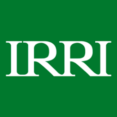 International Rice Research Institute's logo