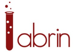 Labrin.net's logo