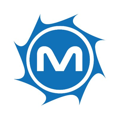 MetroStar Systems's logo