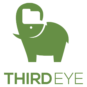 ThirdEye Data's logo
