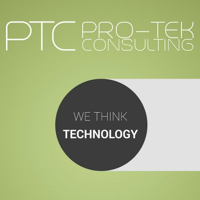 Pro-Tek Consulting's logo