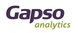 Gapso Analytics's logo