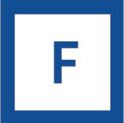 Factumsoft's logo