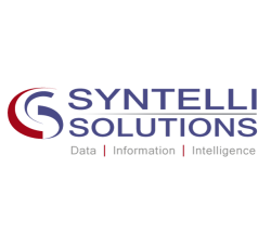 Syntelli Solutions 's logo